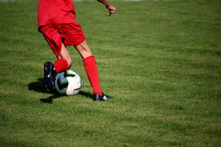 爱游戏娱乐网址-意甲裁判语义分析系统在比赛判罚中的应用研究，意甲第三轮裁判