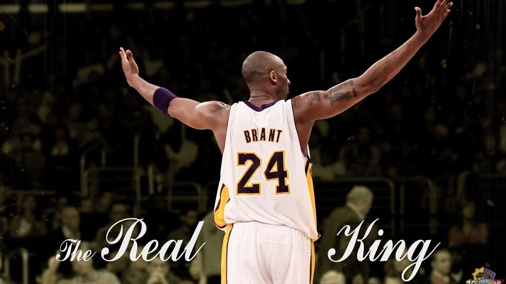 “超越自我：车手的心灵疾驰”