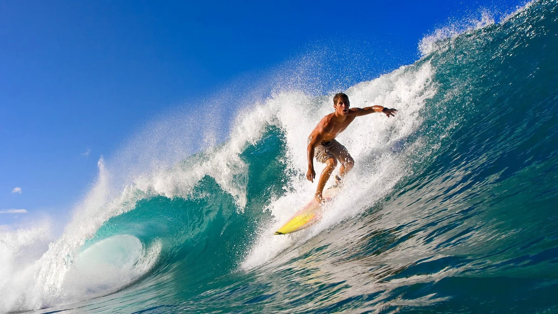 国际游泳锦标赛中国队刷新多项世界纪录，国际游泳冠军系列赛