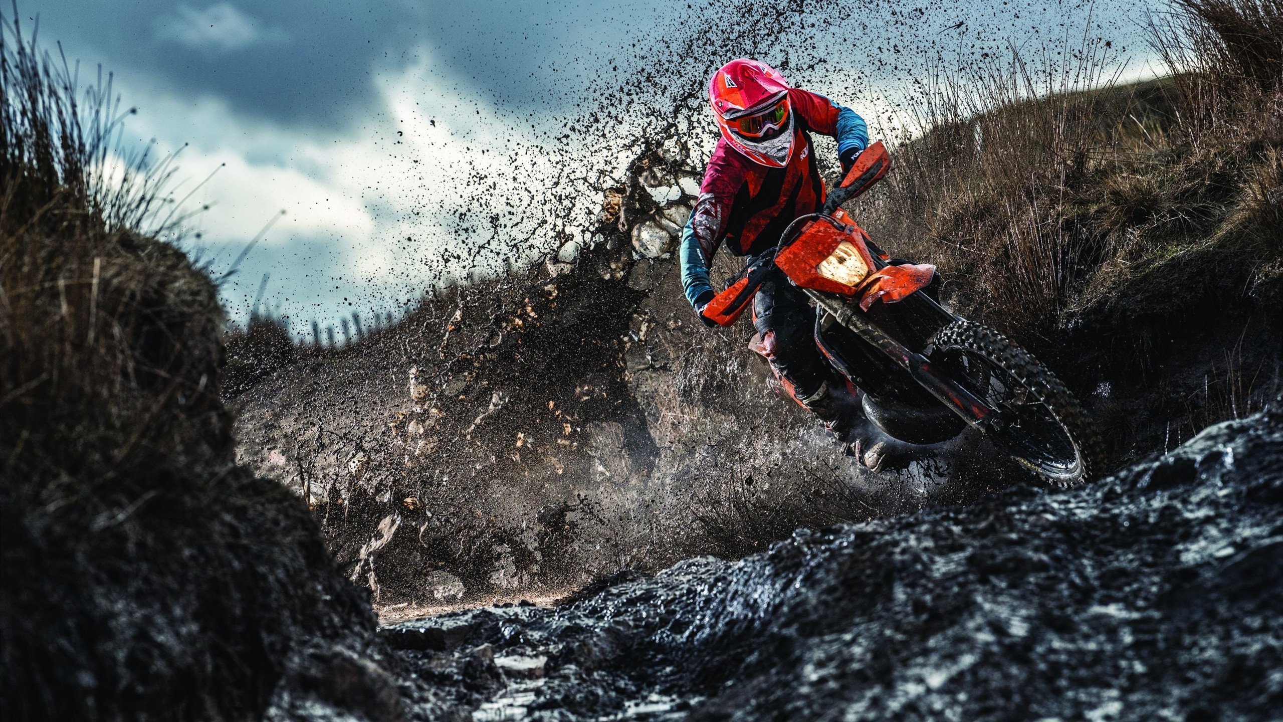 英超：切尔西2-3不敌利物浦，哈弗茨破门但未能逆转，英超联赛切尔西